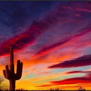 ✨POSH AMBASSADOR⭐️ ⭐️⭐️⭐️⭐️ seller quick shipping